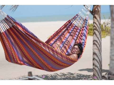 Double Hammock Collection